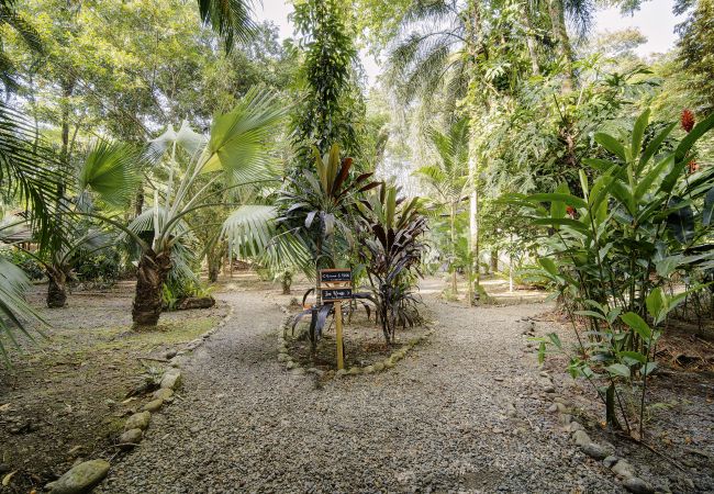 Villa in Playa Chiquita - Zen Villa Villa in Playa Chiquita - Zen Villa
